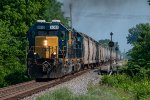 CSX 8019